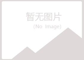 麻山区字迹能源有限公司